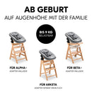 hauck 3-in-1 Bouncer for Alpha+, Beta+ & Arketa Wooden High Chair, Ergonomic Baby Lounger for Babies from Birth up to 15 kg, with 5-Point Harness, Seat Reducer, Cotton Cover (Dark Grey Melange)