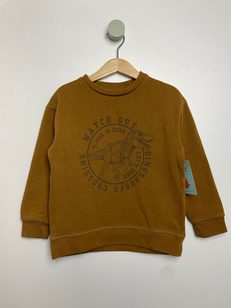 Sweatshirt Dino • 104 • rr