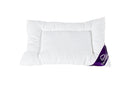 Träumeland T060301 Einziehdecken-Set Märchenweich: Decke (100 x 135 cm) und Kissen (40 x 60 cm)
