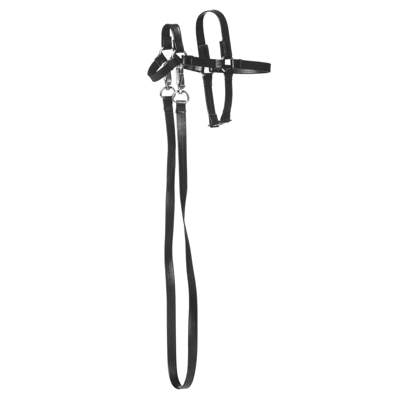 PANDURO – TRENSE FÜR MINI PONY