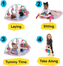 Baby Einstein Ocean Explorers 4-in-1 Spielbogen Baby Spielmatte mit Kick Piano, Musik- & Sprachförderung, Sensorikspielzeug, Lichter & Klänge, Für Neugeborene +, Rosa (Jellyfish Jamboree)