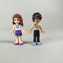 LEGO Friends Heartlake Jet 41100 Flugzeug