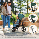 LIONELO Haari 2in1 Dreirad mit Schubstange ab 18 Monate bis 25kg, Vorwärts und Rückwärtsfahrt, schlauchlose Gummireifen, Freilauf geräumiger, Korb, Tasche, Getränkehalter