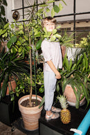 Benno shirt mit aufgesetzter Tasche 146/152 158/164