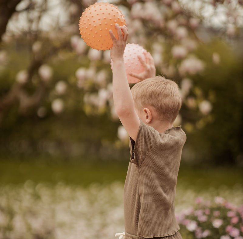 FIND THAT HIPPO – GROSSER SENSORIKBALL (COPPER)