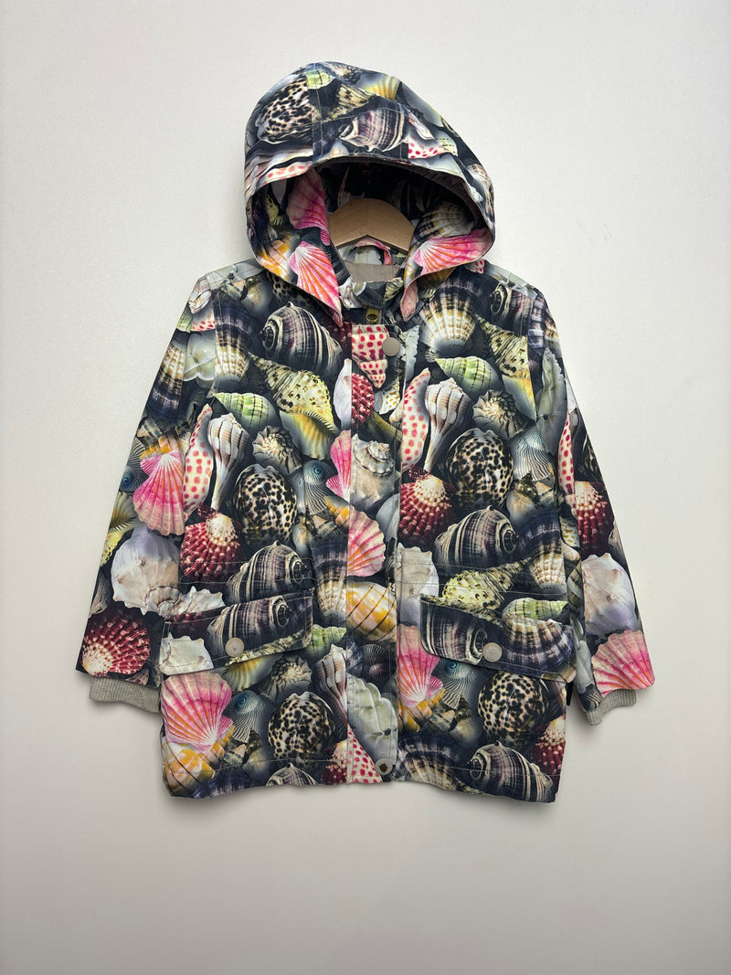 Anorak Shells • 110 • molo