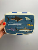 Lunchbox mit Fach • Sharks