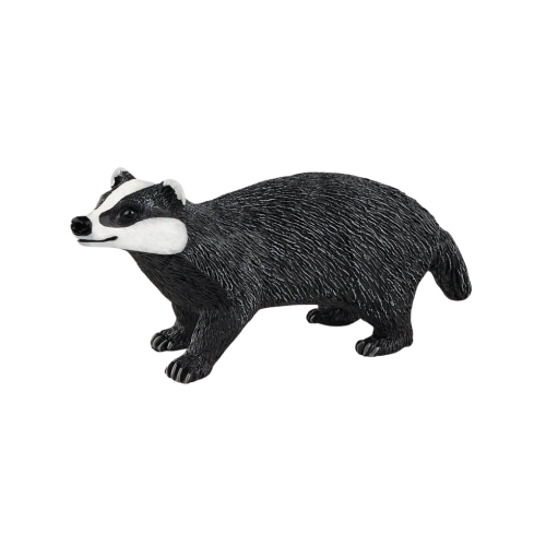 forest badger