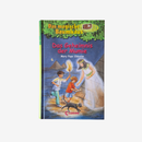 Das magische Baumhaus 6 Bücher