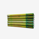 Das magische Baumhaus 6 Bücher