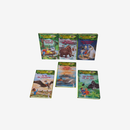 Das magische Baumhaus 6 Bücher