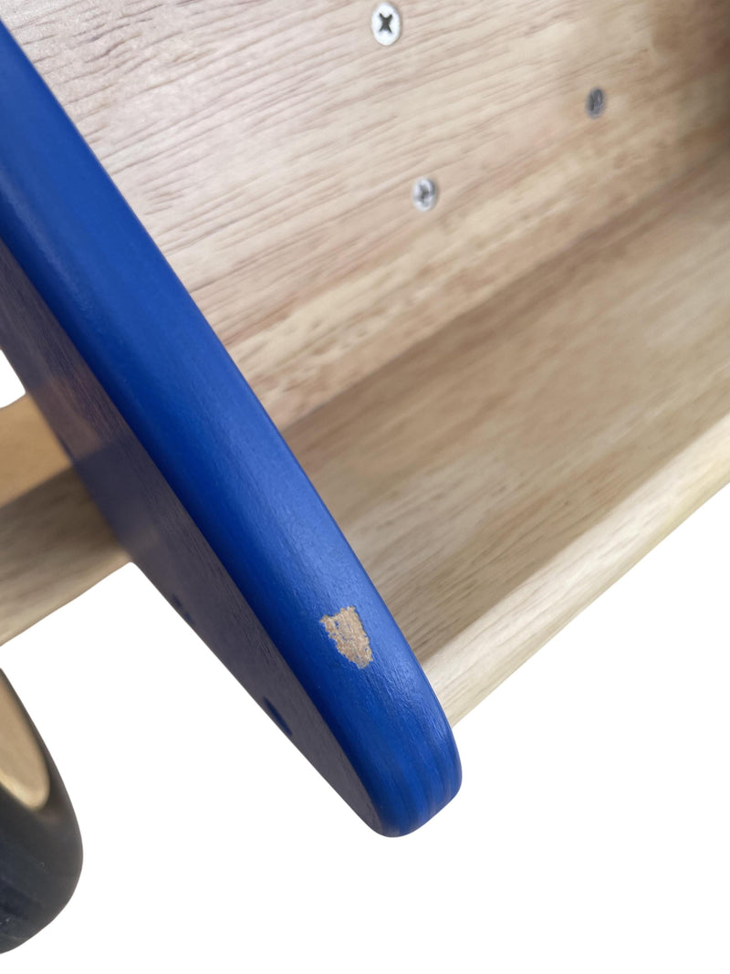 Pintoy Pintoy Trike ab 18 Monaten Messe Ausstellprodukt leichter Kratzer Sitz-Höhe 26 cm