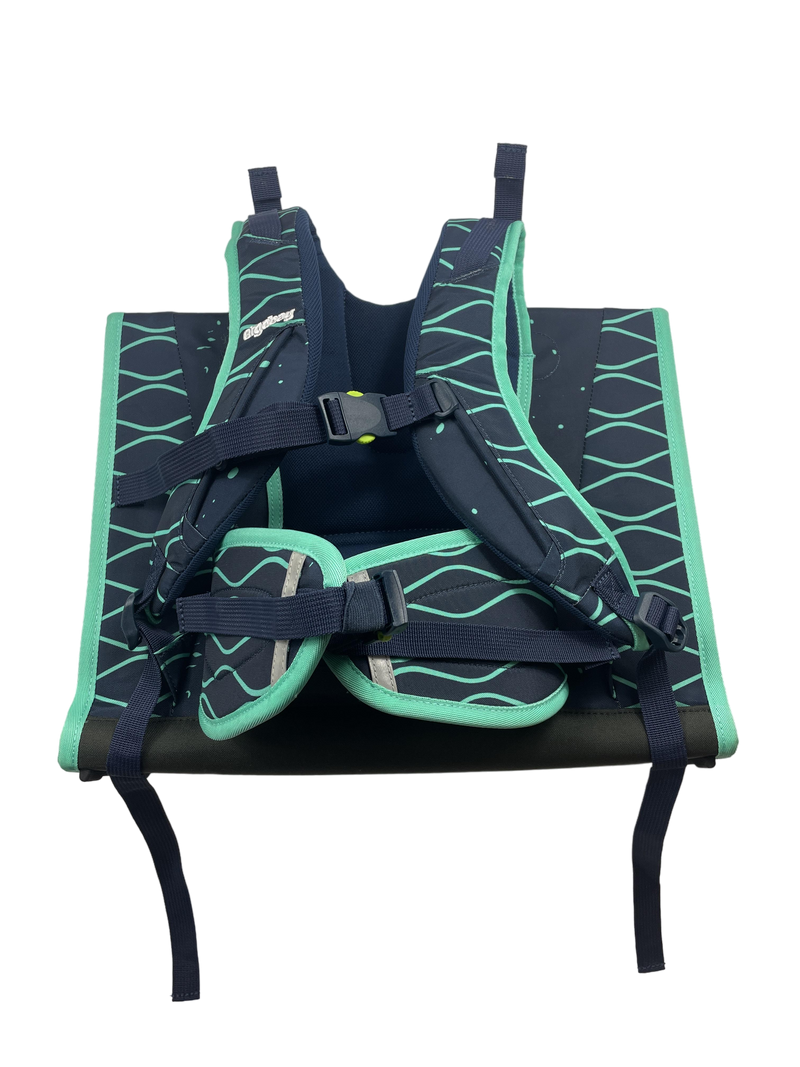 Ergobag backpack