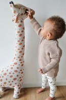 Strickpullover | Cashew