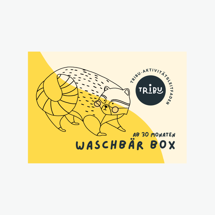 Waschbär Spielzeugbox • ab 30 Monate+