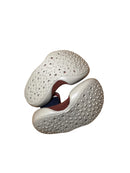 Collegien Hausschuh hund 24 Schuhgröße, 25 Schuhgröße