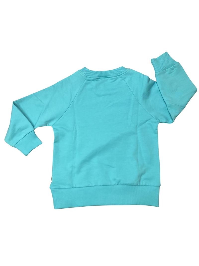 Sweatshirts Sweatshirts & Hoodies Kleidung Dünner Sweatshirt Danefae Rear Image Last Season