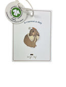 Shorts & kurze Hosen Shorts & kurze Hosen Kleidung Shorts Konges Slojd Label Image Last Season