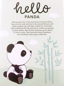 LED night light panda with timer function, A Little Lovely Company