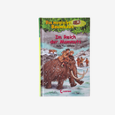 Das magische Baumhaus 6 Bücher