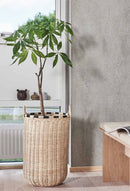 OYOY Saga Bonbonniere - Low