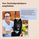 Balance Kräuterpads