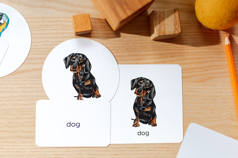 MAREMINI | Baby Memo Flashcards | Tier Ramba Samba (Deutsch)