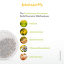 Löwenkind Einsteigerset mit Halstuch und Zappelzwerg-Kräuterpad-Dose - ab 4 Jahre