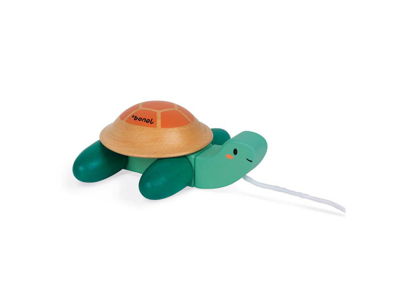 pull-along toy turtle