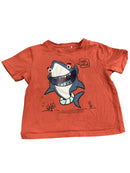 Name it T-Shirt Hai 98 | 3yrs