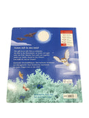 Coppenrath Mein kunterbuntes Tier-ABC