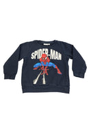 Name it Pullover Spiderman 86 | 18m