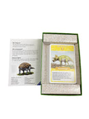 Ravensburger Wieso Weshalb Warum? Dinosaurier Quartett