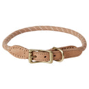 Perry Dog Collar - Small