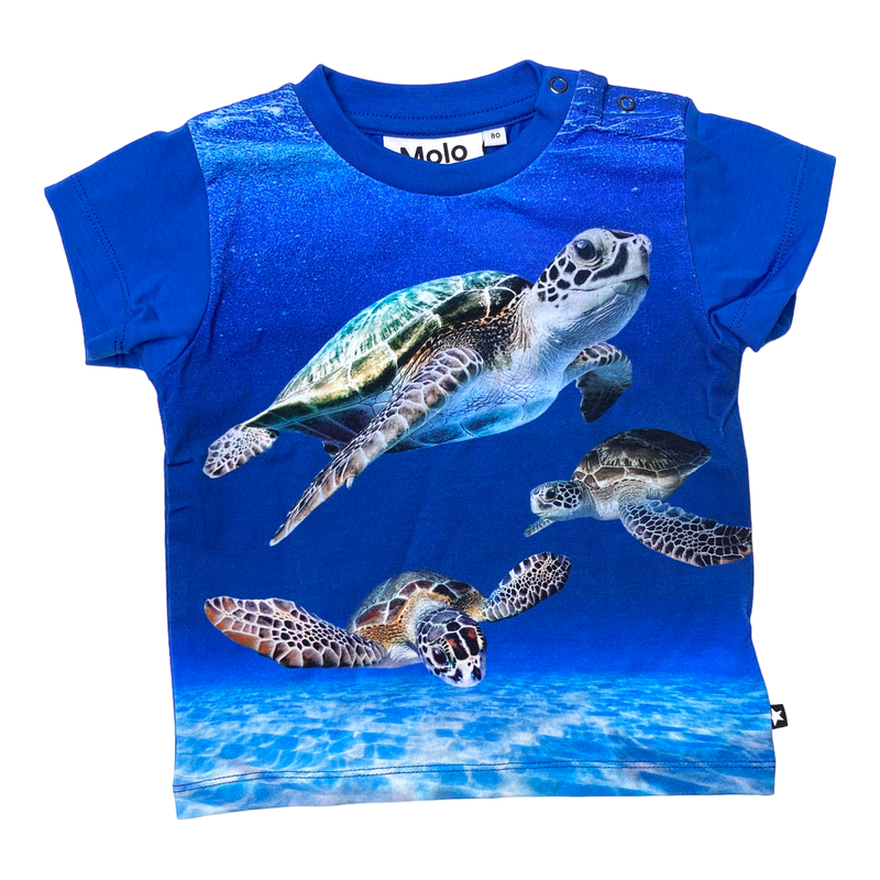 Molo t-shirt, baby turtles | 80cm