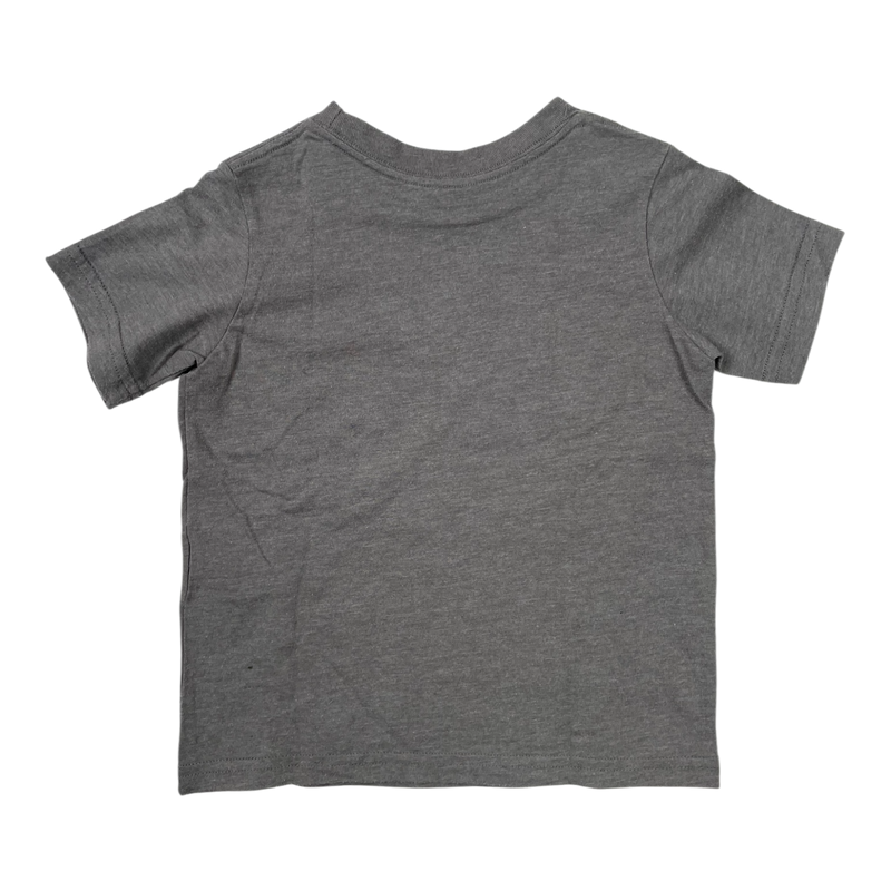 Patagonia t-shirt, grey | 92/98cm