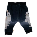 Molo baby pants, bunny | 62cm
