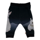 Molo baby pants, bunny | 62cm