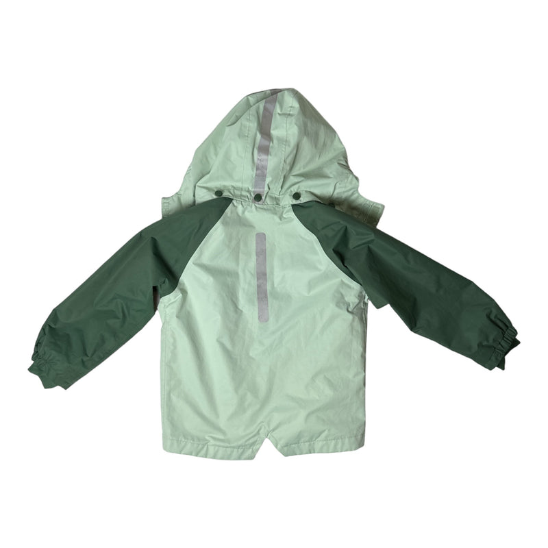 Windjacke green frog (110/116)