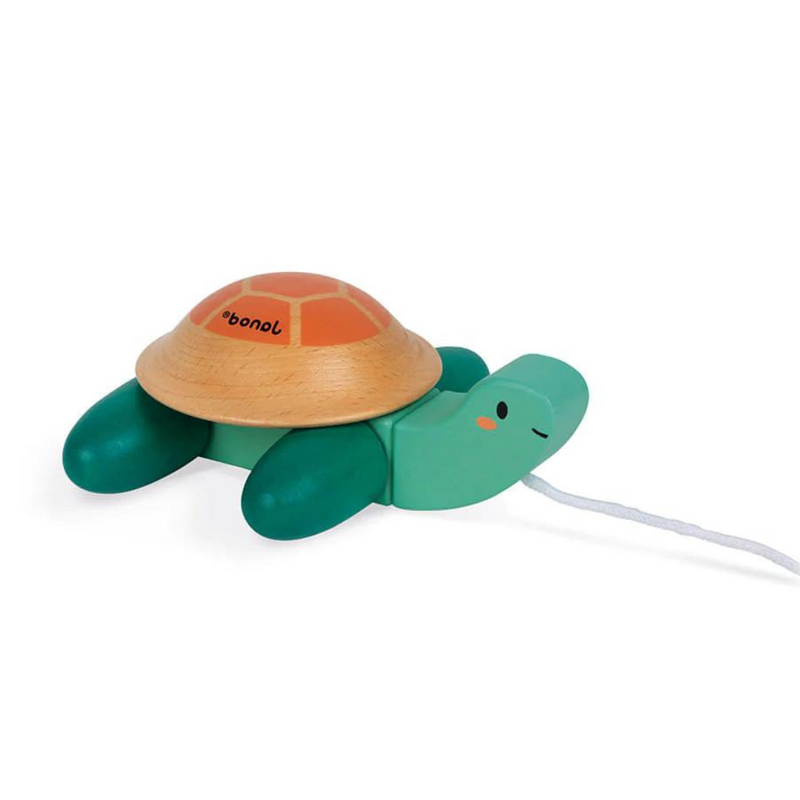 pull-along toy turtle