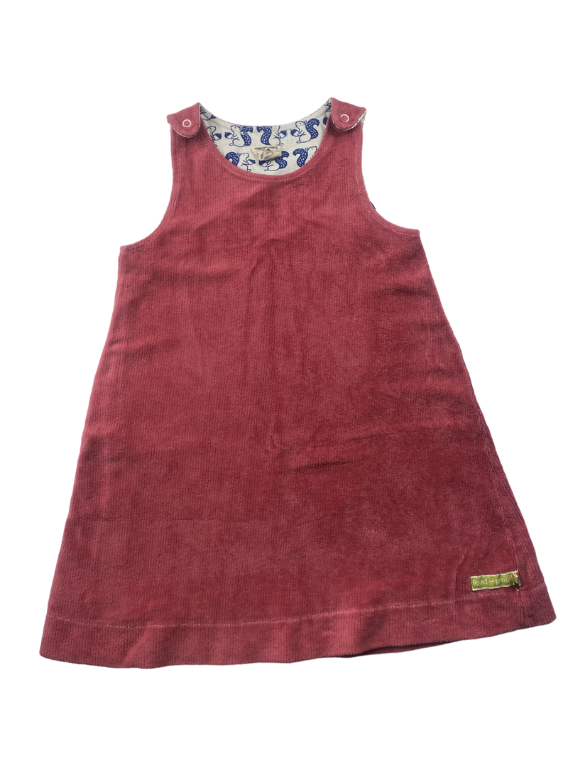 Loud + Proud Velvet Dress 104 | 4yrs