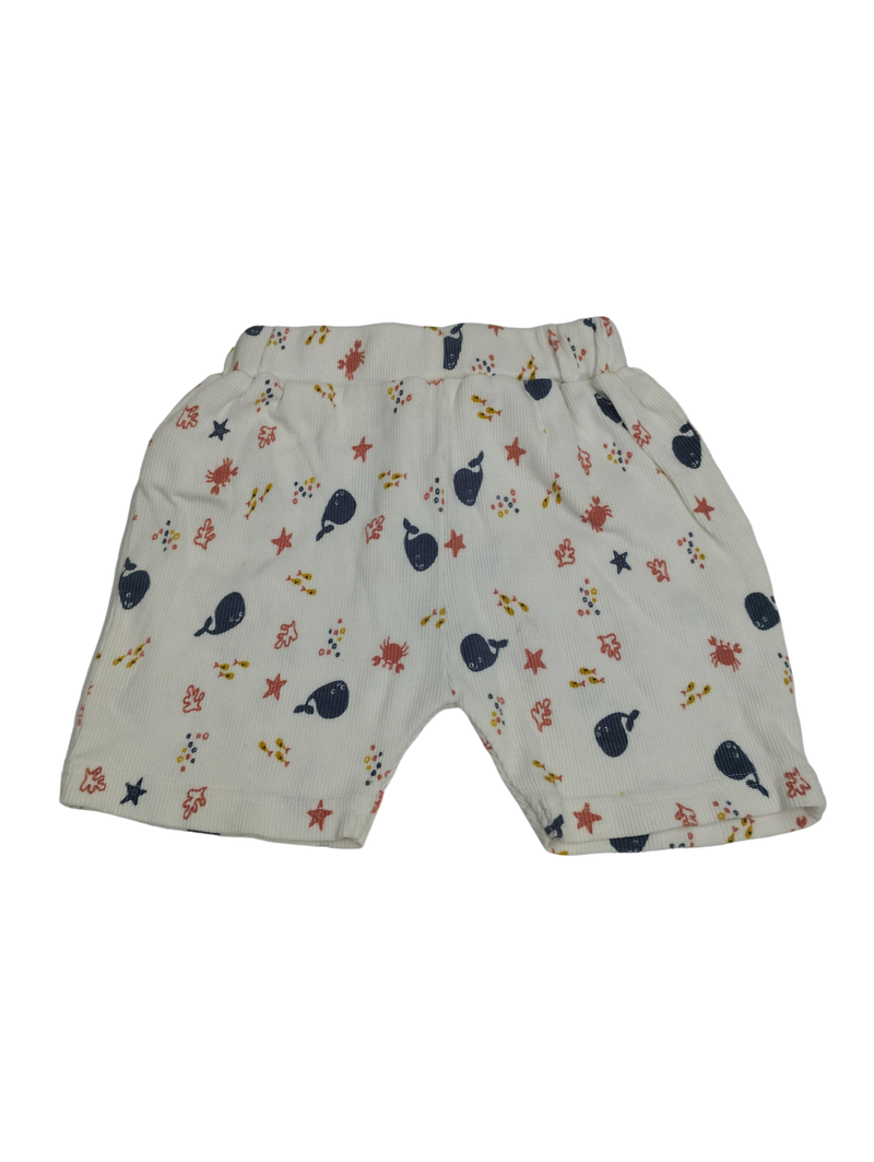 Turtledove Organics Shorts 80 | 12m