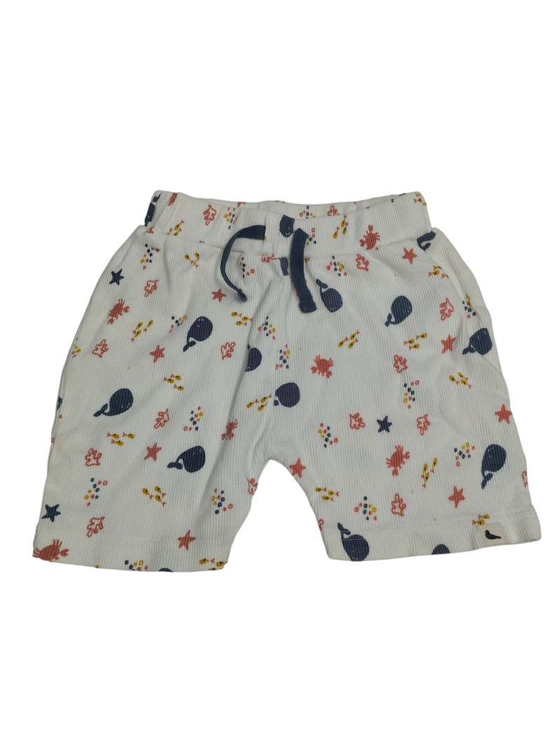 Turtledove Organics Shorts 80 | 12m