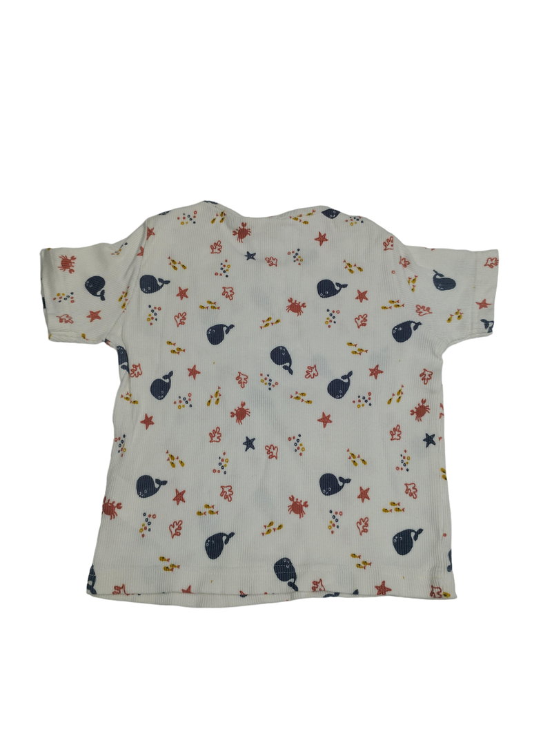 Turtledove Organics T-Sirt 80 | 12m