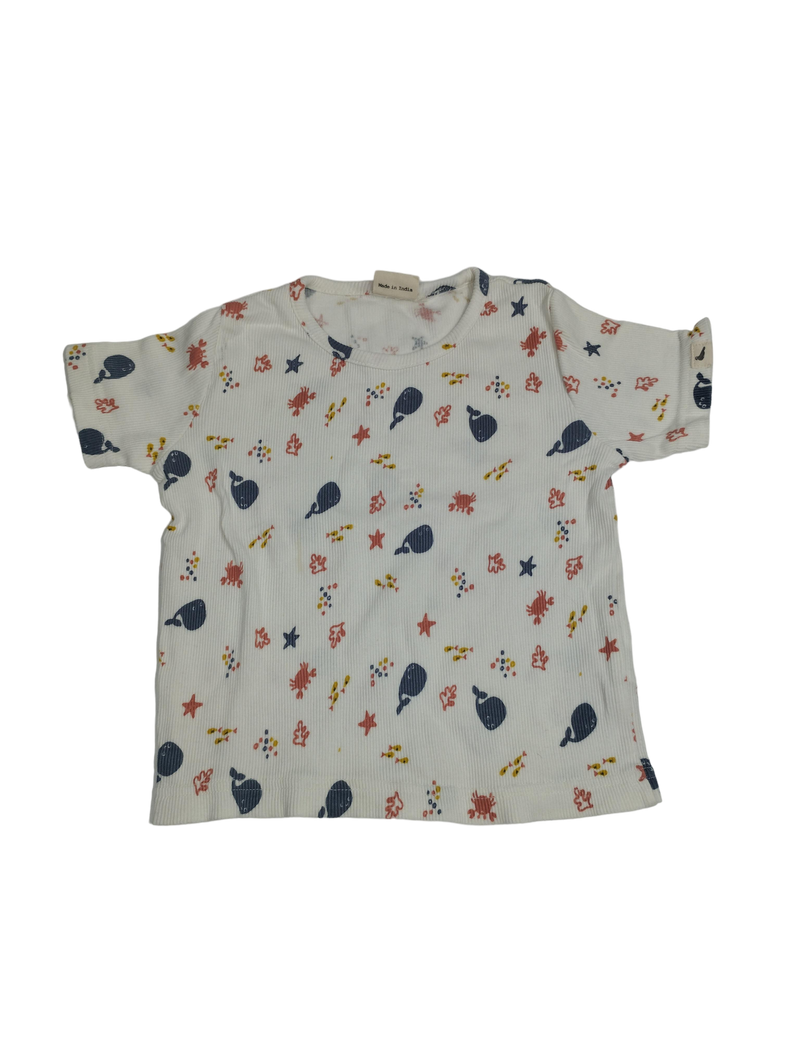 Turtledove Organics T-Sirt 80 | 12m