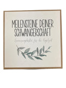 Schwangerschaft & Stillen Meilensteinkarten Schwangerschaft Unbekannt  Front Image Second Hand