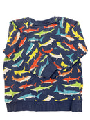 Frugi Pullover 104 | 4yrs