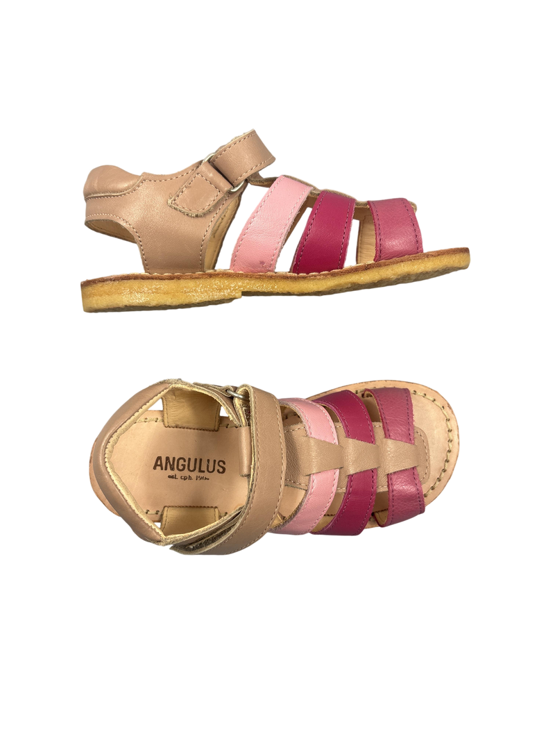 Angulus Sandalen 27 Schuhgröße