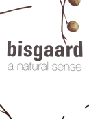 Bisgaard Winterstiefel 26 Schuhgröße