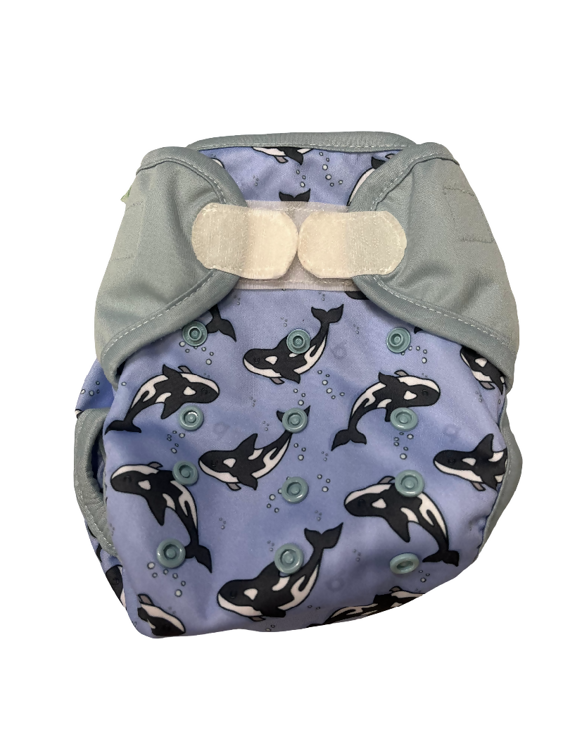 BUM waschbare Windeln - Wal